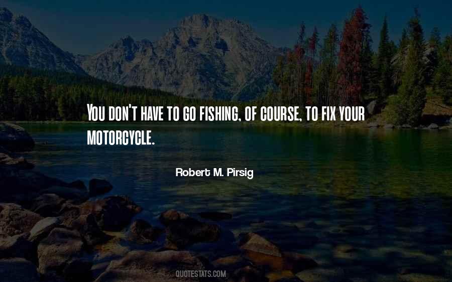 Robert M. Pirsig Quotes #722584