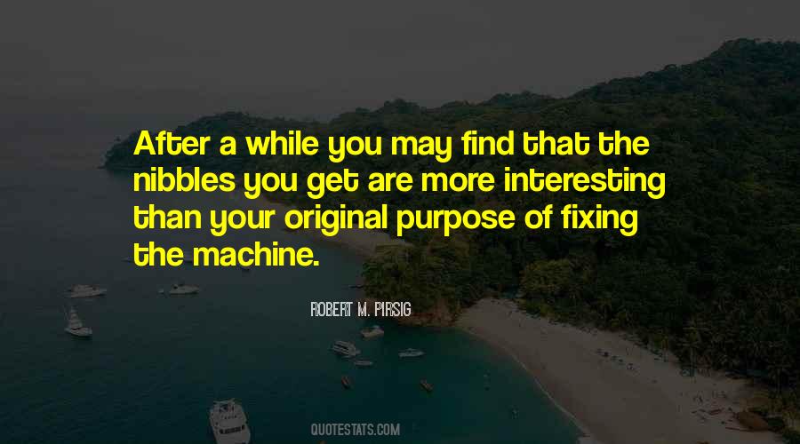 Robert M. Pirsig Quotes #901045