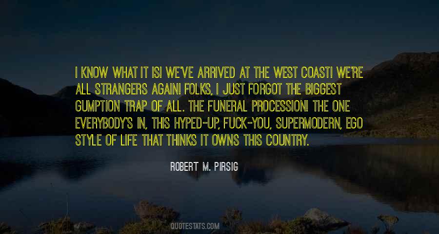 Robert M. Pirsig Quotes #951531