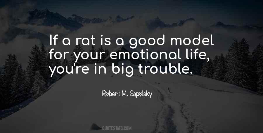 Robert M. Sapolsky Quotes #467316