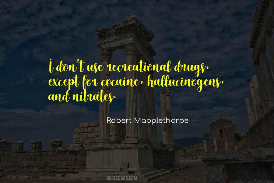 Robert Mapplethorpe Quotes #1029599