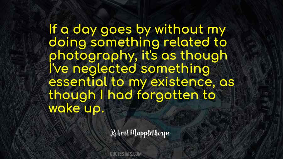 Robert Mapplethorpe Quotes #1042867