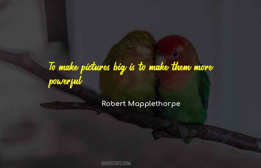 Robert Mapplethorpe Quotes #490745