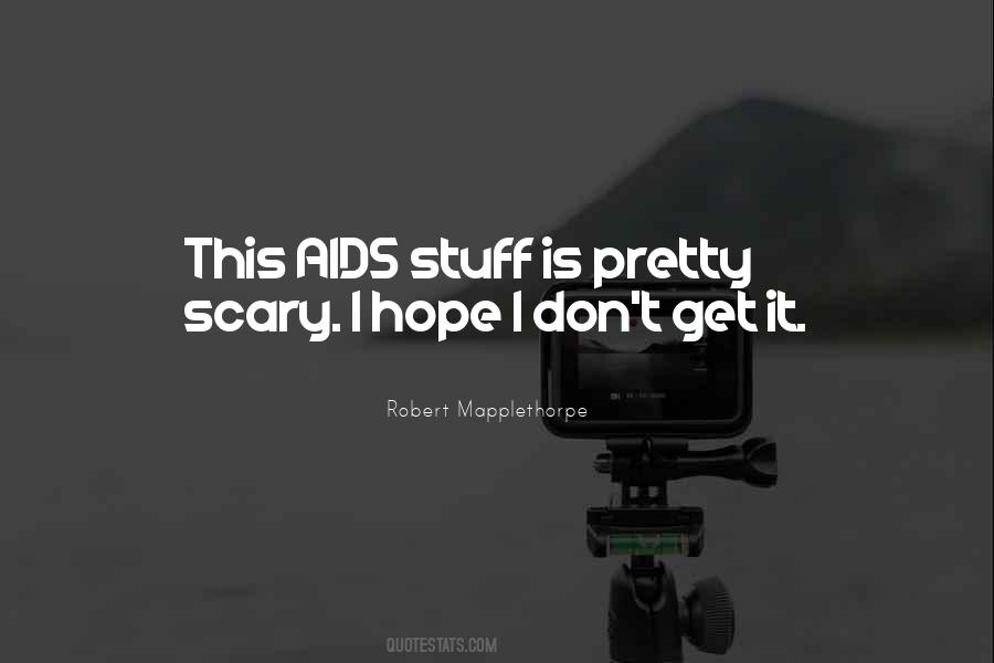 Robert Mapplethorpe Quotes #902528