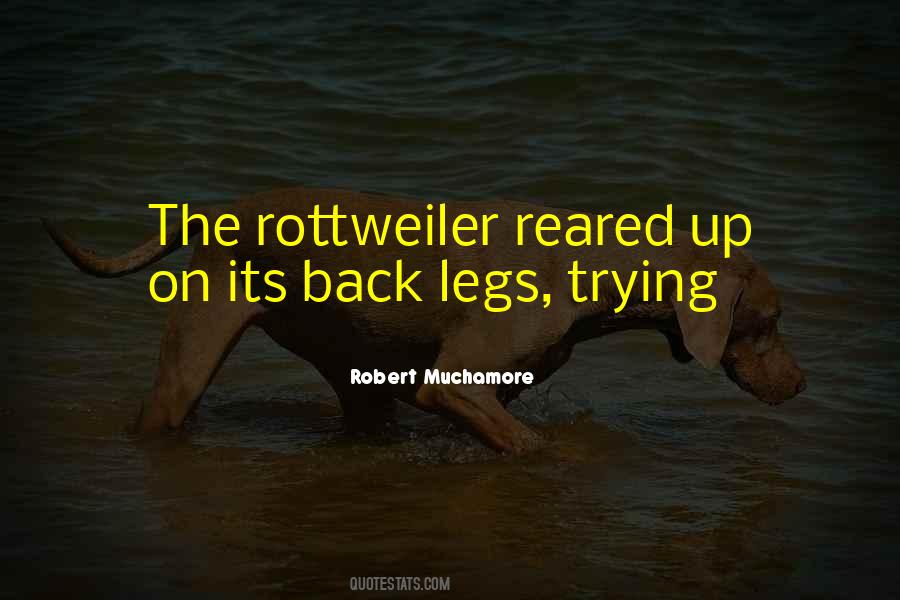 Robert Muchamore Quotes #936732