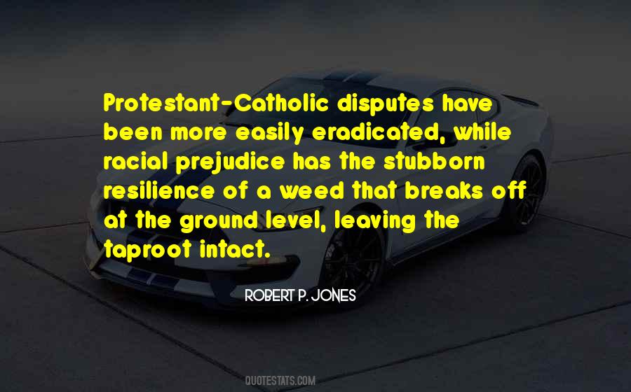 Robert P. Jones Quotes #427958