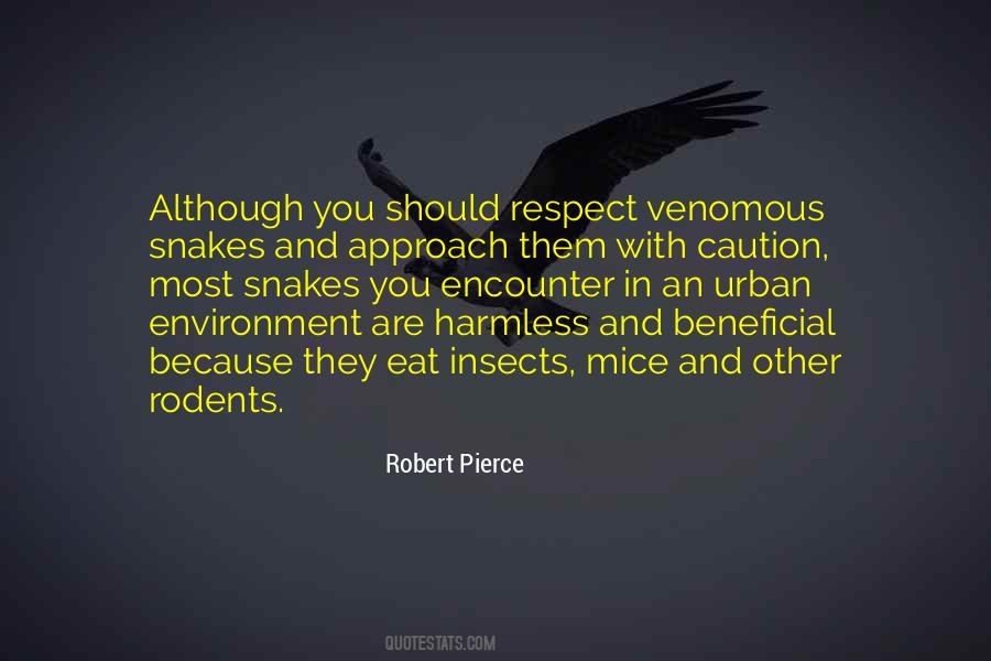Robert Pierce Quotes #1407169