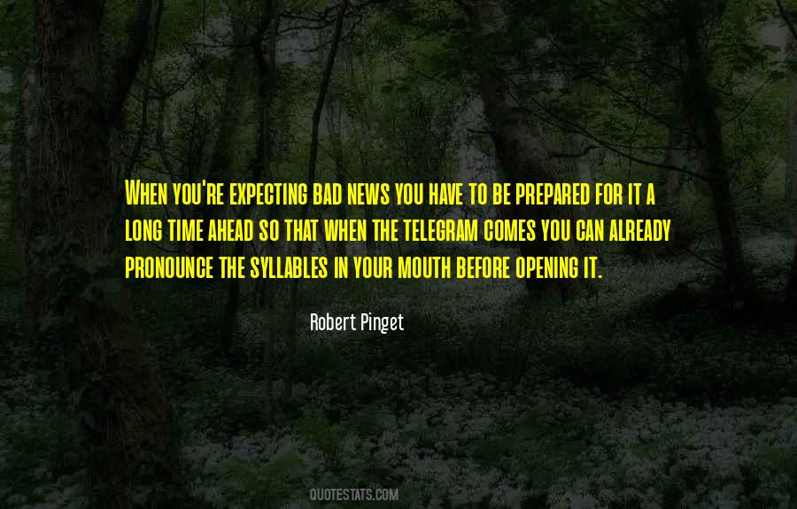 Robert Pinget Quotes #816213