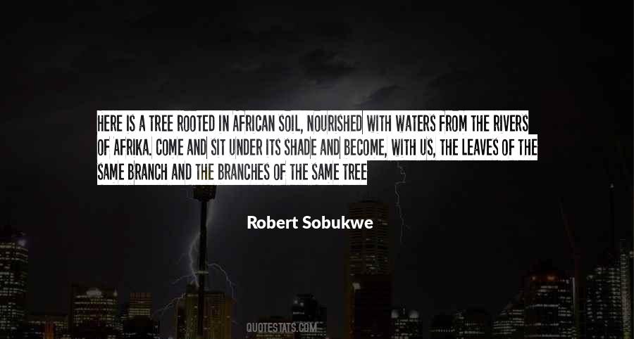 Robert Sobukwe Quotes #677069