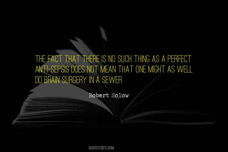 Robert Solow Quotes #816036