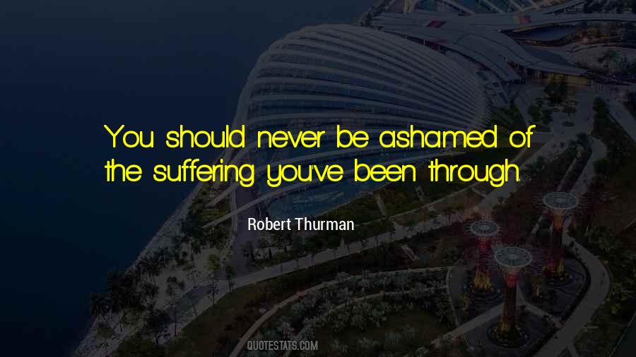 Robert Thurman Quotes #25463