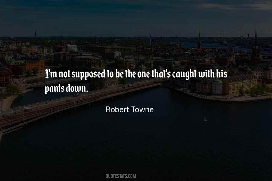Robert Towne Quotes #537531