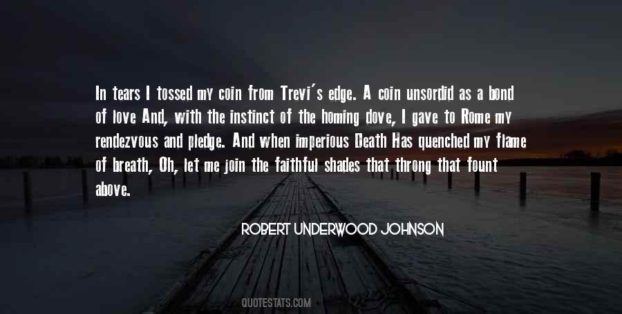 Robert Underwood Johnson Quotes #66199