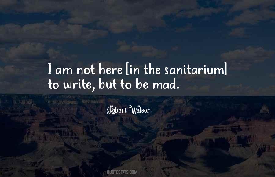 Robert Walser Quotes #1141505