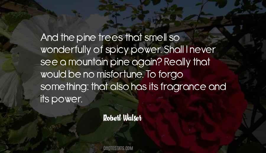 Robert Walser Quotes #639079