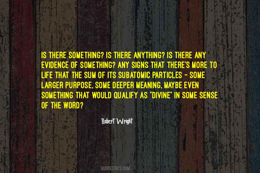 Robert Wright Quotes #1479279
