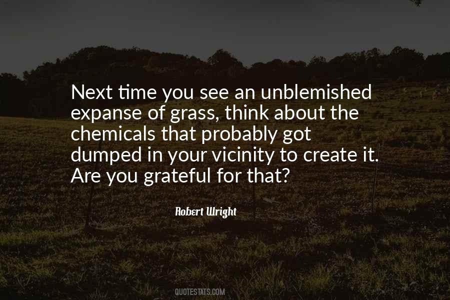 Robert Wright Quotes #195994