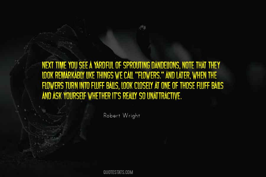 Robert Wright Quotes #26249