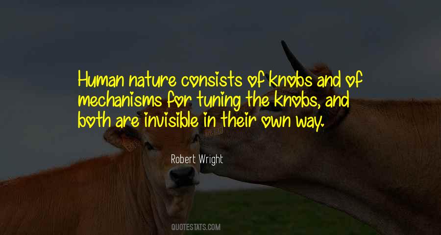 Robert Wright Quotes #979743