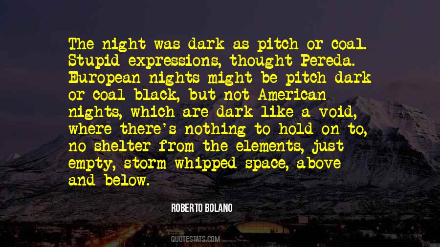 Roberto Bolano Quotes #1105257