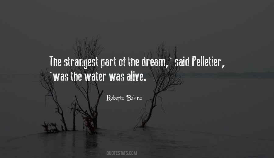 Roberto Bolano Quotes #1260354