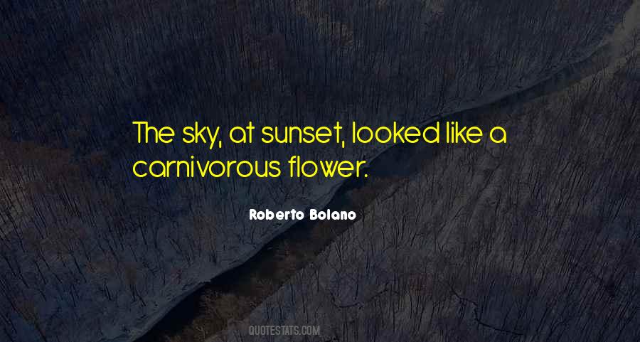 Roberto Bolano Quotes #1579345