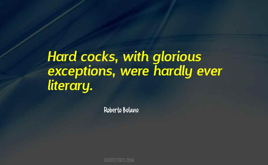 Roberto Bolano Quotes #750681