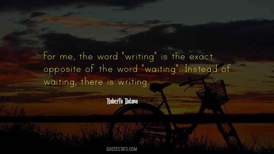 Roberto Bolano Quotes #789487