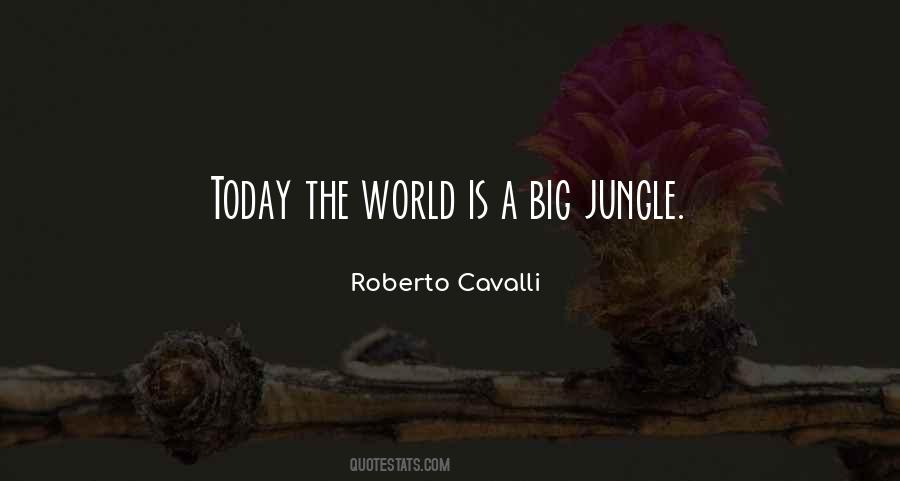 Roberto Cavalli Quotes #54971