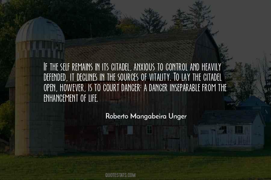 Roberto Mangabeira Unger Quotes #1753356