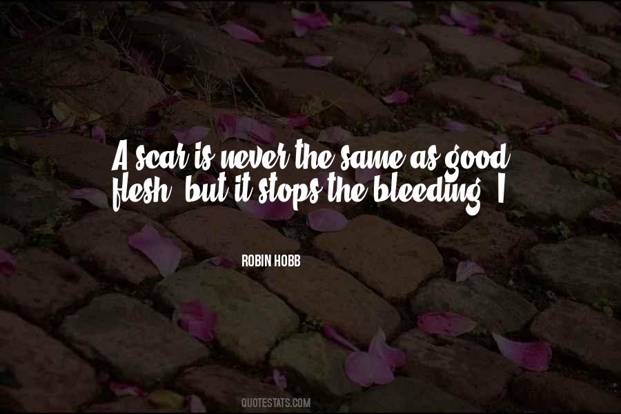 Robin Hobb Quotes #1019499