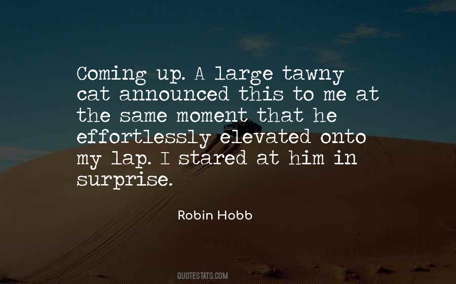 Robin Hobb Quotes #1318965