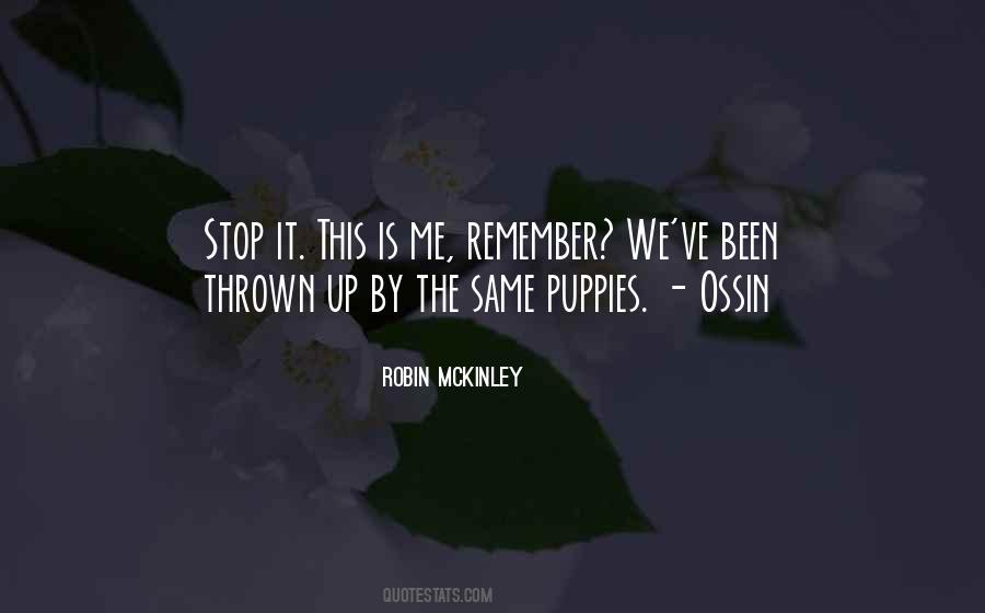 Robin McKinley Quotes #1271463
