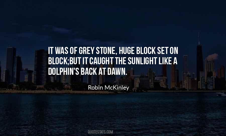 Robin McKinley Quotes #1429707