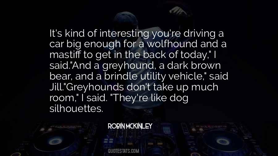 Robin McKinley Quotes #464901