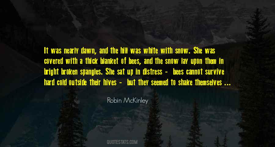 Robin McKinley Quotes #930910