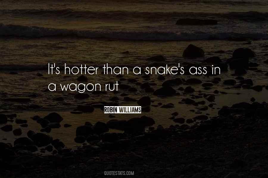 Robin Williams Quotes #1581674