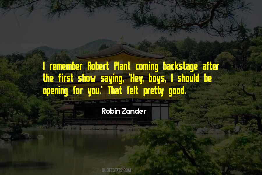 Robin Zander Quotes #536699