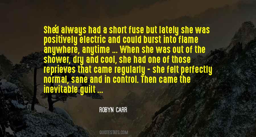 Robyn Carr Quotes #71199