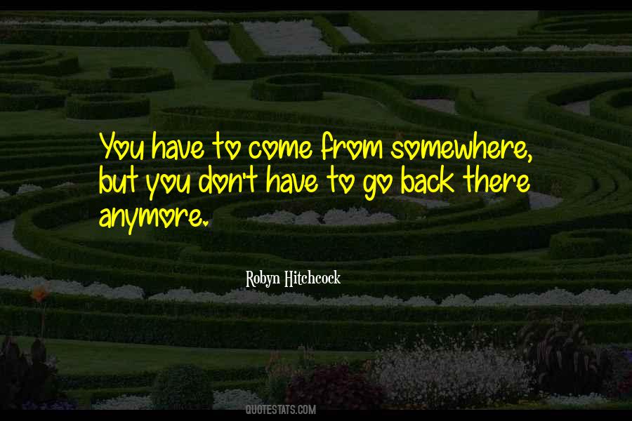Robyn Hitchcock Quotes #309356