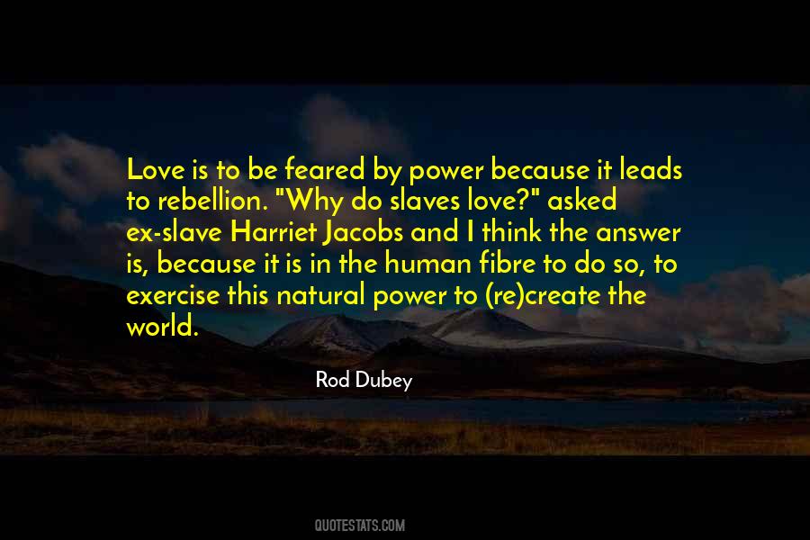 Rod Dubey Quotes #1426957