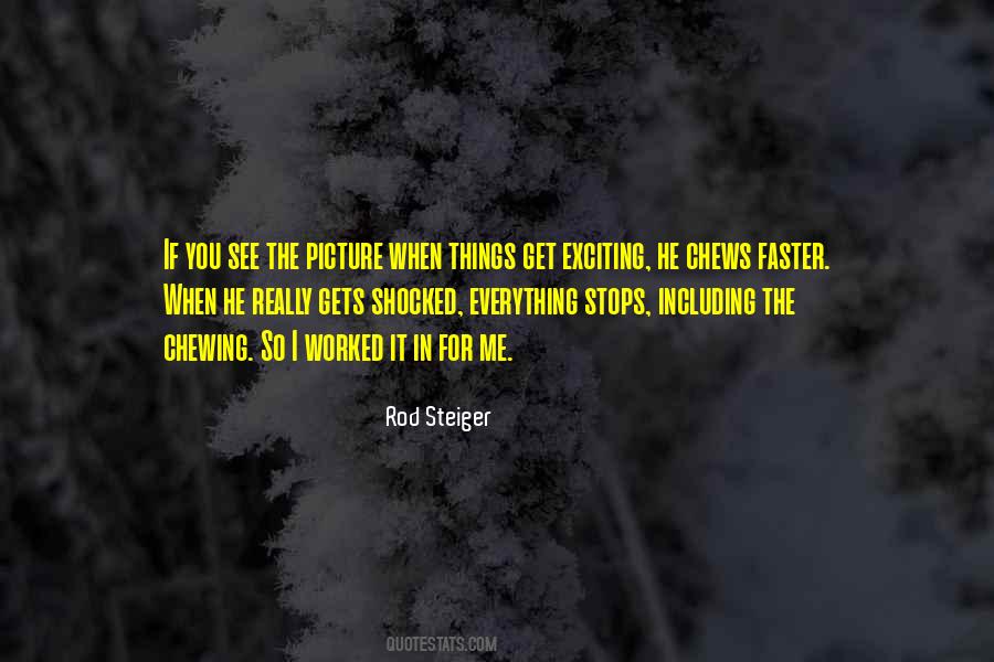 Rod Steiger Quotes #412731