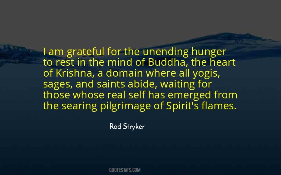 Rod Stryker Quotes #1355634
