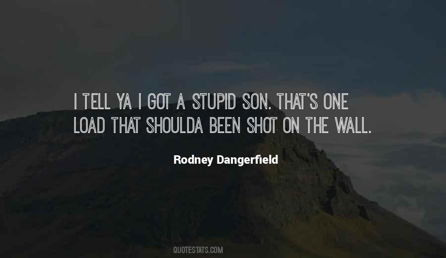 Rodney Dangerfield Quotes #1385540