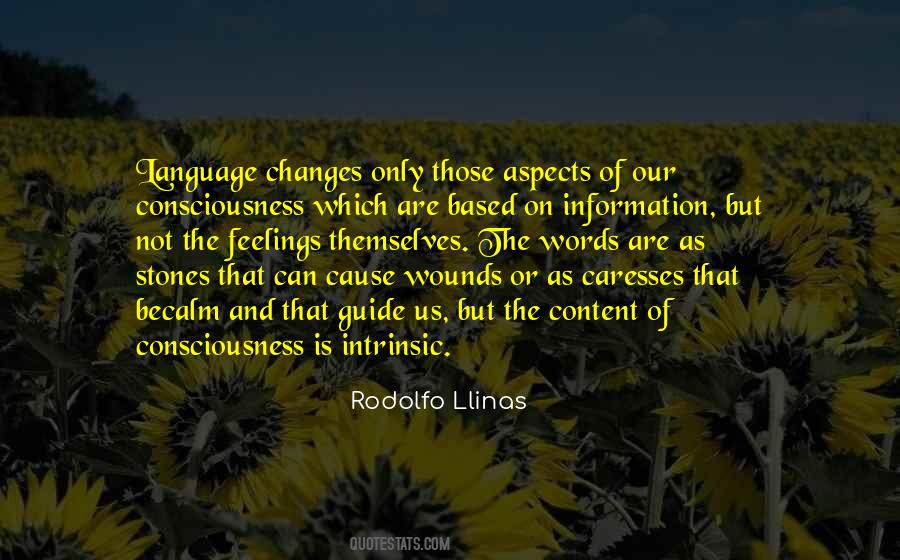 Rodolfo Llinas Quotes #1870178