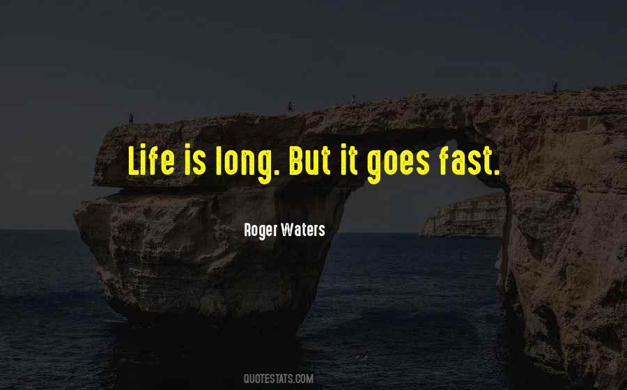 Roger Waters Quotes #117989