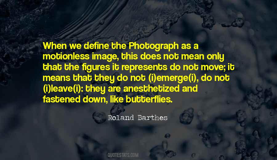 Roland Barthes Quotes #1278565