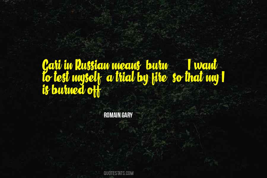 Romain Gary Quotes #1158444