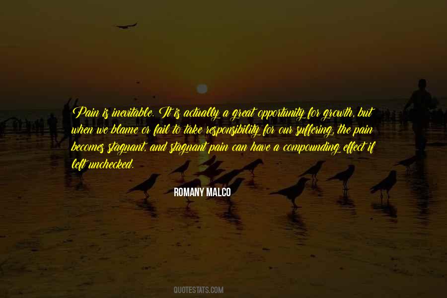Romany Malco Quotes #45957