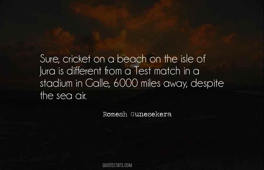 Romesh Gunesekera Quotes #121410